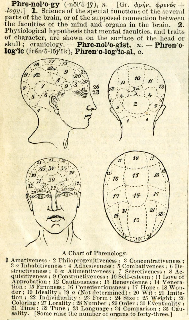 This illustration and definition of phrenology appeared in Webster’s Dictionary around 1900, reflecting the now-debunked belief that bumps on the skull could reveal personality traits.
