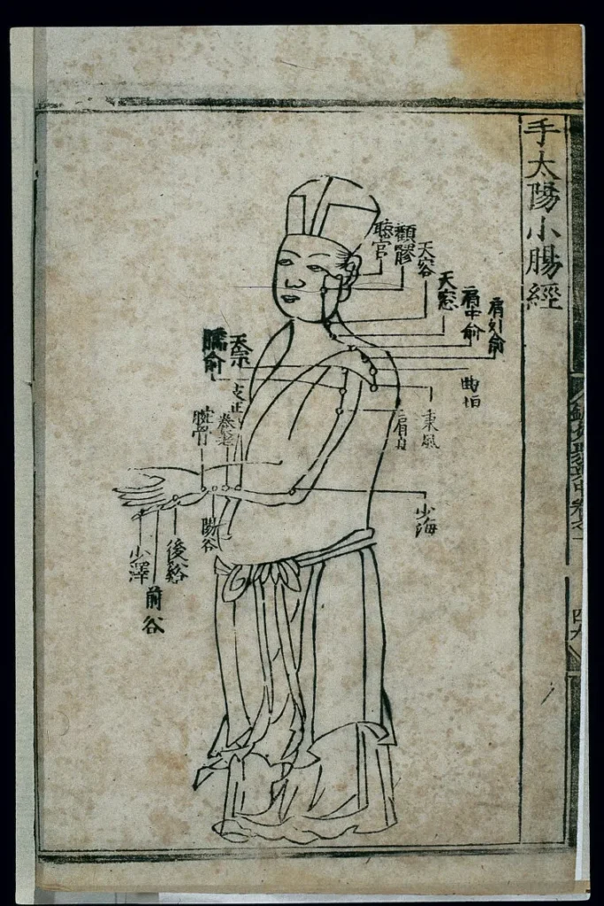 This 1537 woodcut from the Ming dynasty shows the small intestine channel of hand taiyang, with 19 clearly labeled acupoints used in traditional Chinese medicine.