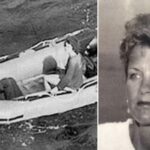 deborah scaling kiley and brad cavanagh survival story shark attack