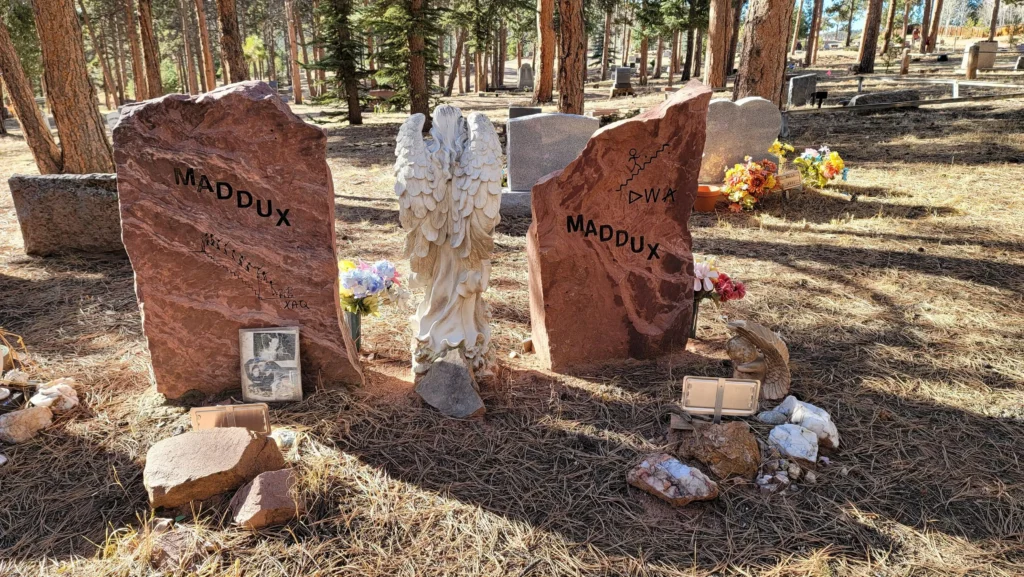 Grave markers of Zachary Maddux on the left and Joshua Maddux on the right at Florissant Pioneer Cemetery.