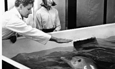 Dr John C Lilly experimenting with LSD during dolphin communication research. 
