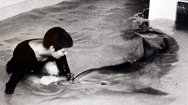 Margaret Howe Lovatt teaching Peter the dolphin speech sounds in 1967. 