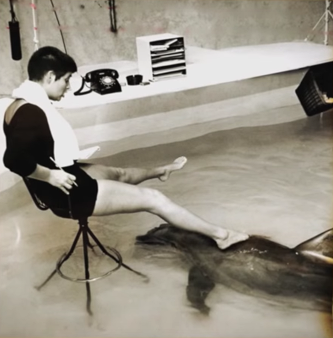 Margaret Howe Lovatt working beside Peter the dolphin inside Dolphin House, 1967.