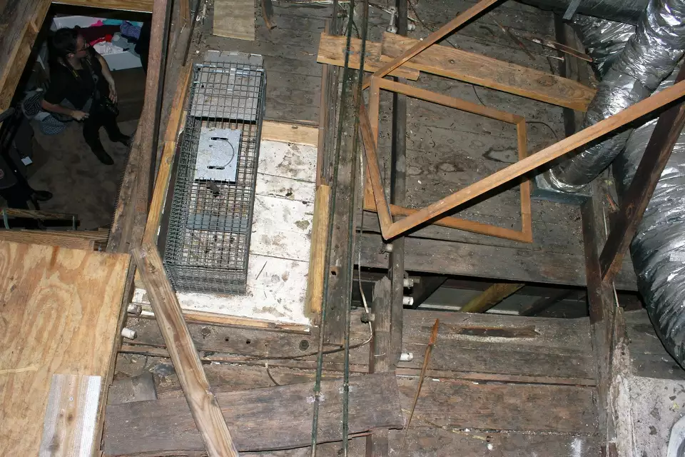 Cat cages and missing floorboard found in the attic of Mary Cerruti’s Houston home.