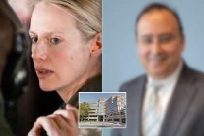 tiffany ingham and soloman shah lawsuit