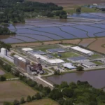 ICE enforcement vehicles near a school pickup area in a case involving a Trump White House official’s family