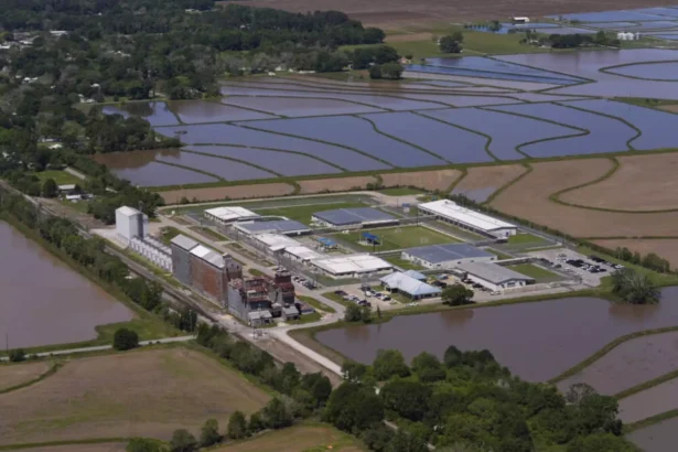 ICE enforcement vehicles near a school pickup area in a case involving a Trump White House official’s family