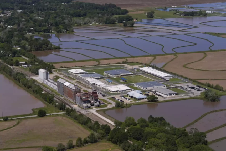 ICE enforcement vehicles near a school pickup area in a case involving a Trump White House official’s family