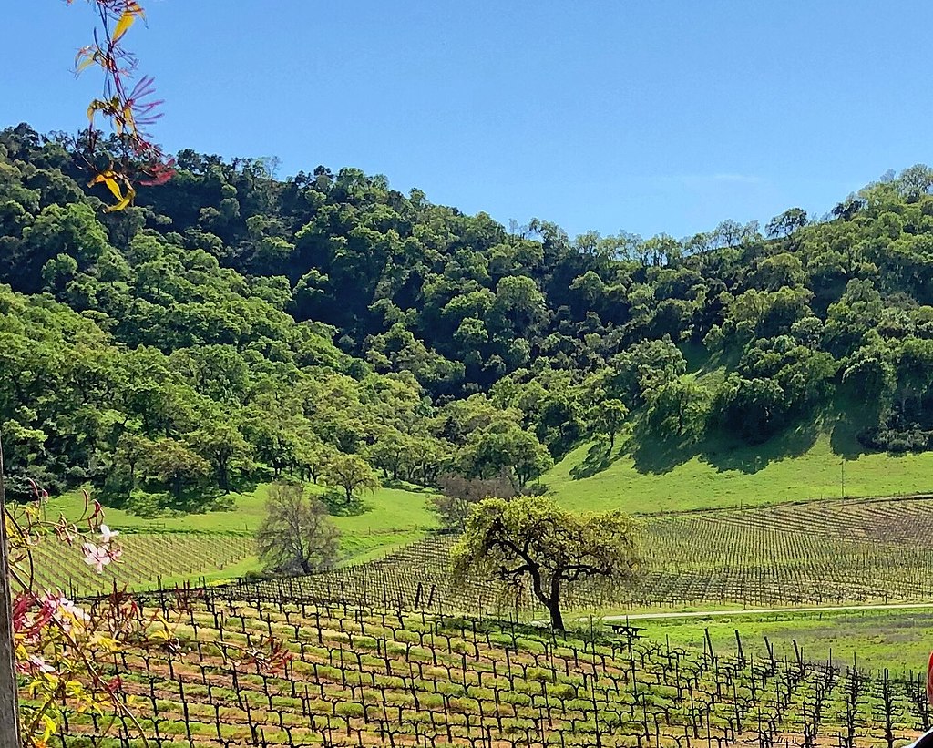 Clos La Chance Winery in Morgan Hill California photographed in 2018