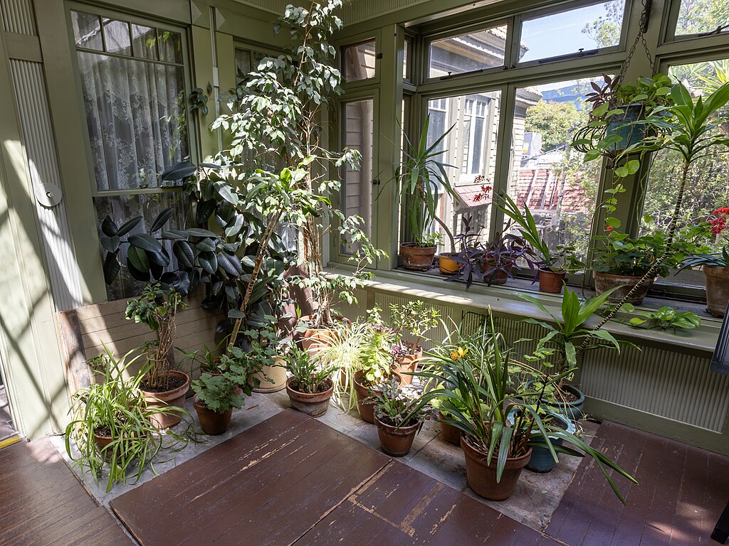 Plant care area of the villa, 2023