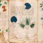 Voynich Manuscript
