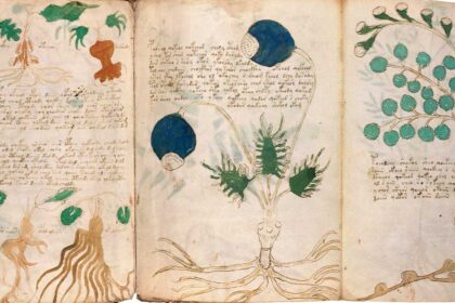 Voynich Manuscript