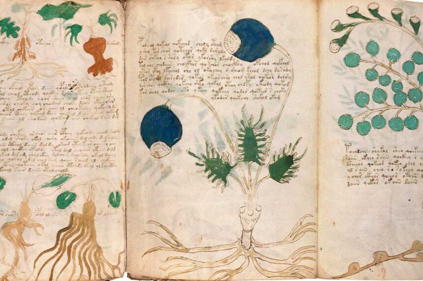 Voynich Manuscript