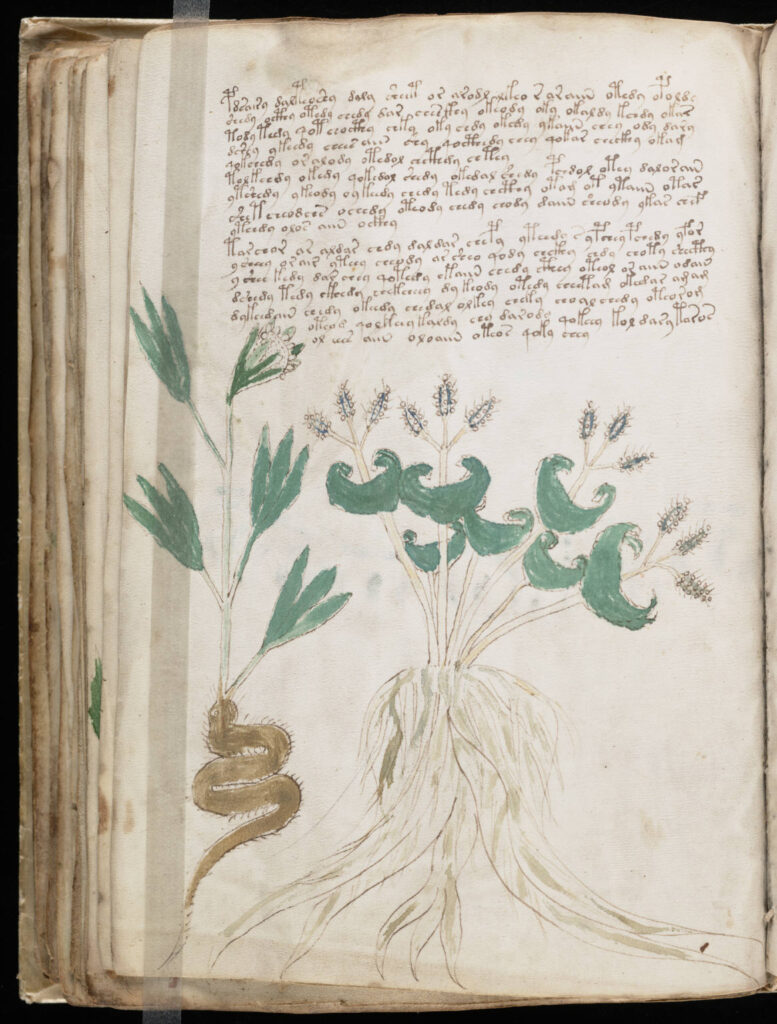 The Rosettes foldout from the Voynich Manuscript showing circular diagrams, towers, and interconnected illustrated sections.