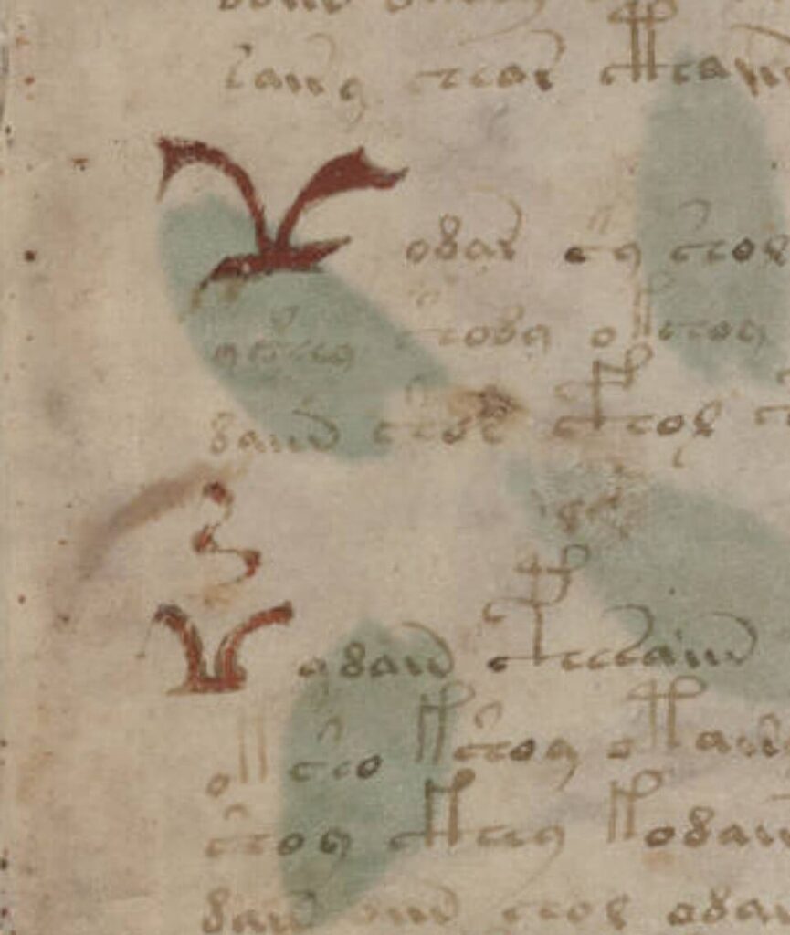 Close view of Voynich Manuscript writing that Newbold believed contained a hidden second layer of text.