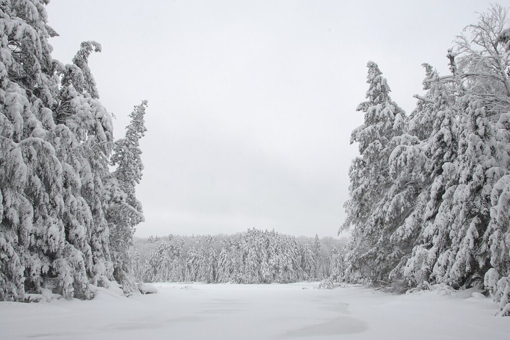 A picture of Algonquin Provincial Park, Canada, showing the harsh winters that led to the Wendigo myth.