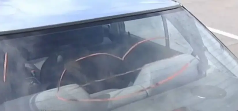 
Quinn's Car back window with the Painted lips, exclamation point and faint view of the dog. The lips are pink and the car is seen from the back window.