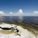 Photo of the Salton Sea