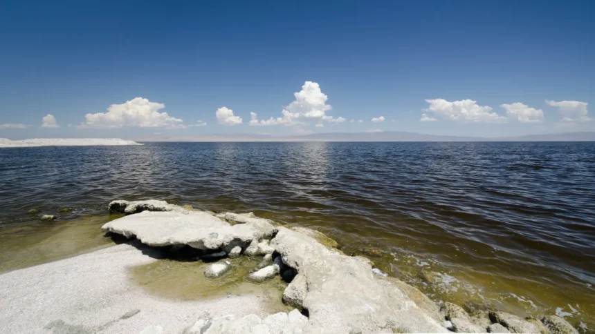 Photo of the Salton Sea