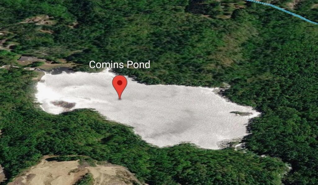 Google Earth aerial view of Comins Pond, showing the wooded area and surrounding roads near the beach where Molly Bish was last seen.