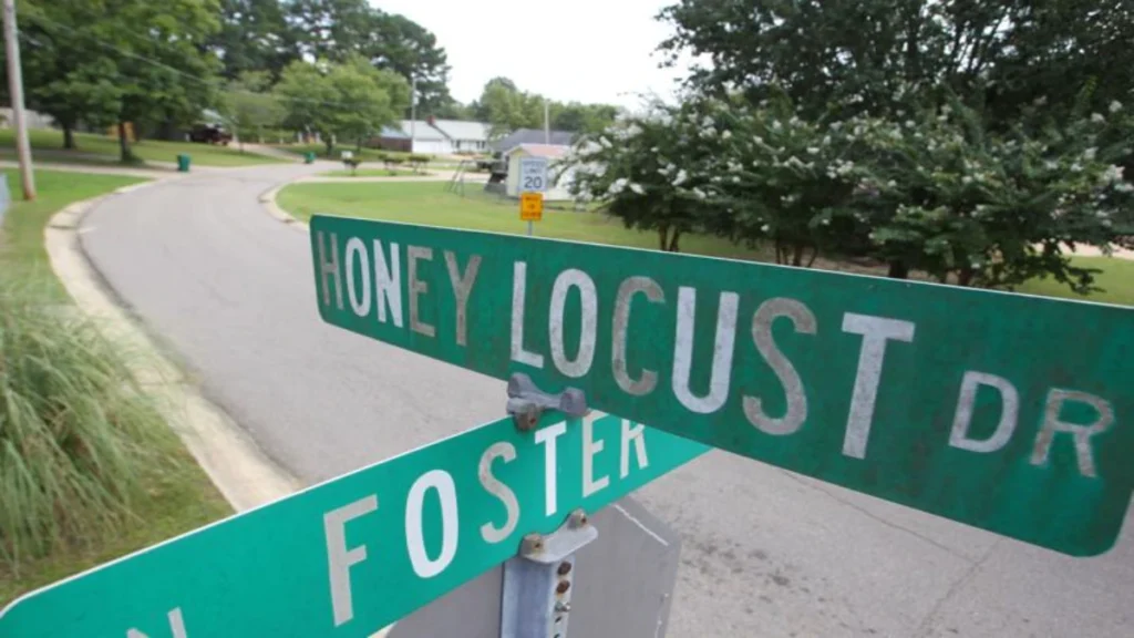 Residential section of Honey Locust Drive in Tupelo, Mississippi, where Leigh Occhi vanished in 1992.