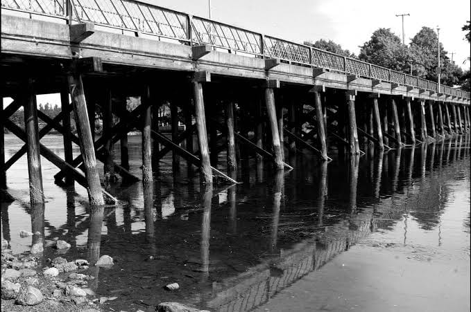 The shallow waters below Craigflower Bridge. This image was taken from the Chilliwack Progress.