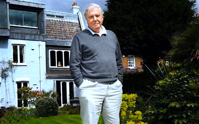 Sir David Attenborough standing in the garden of his Richmond home, near the site where Julia Martha Thomas’s skull was found.