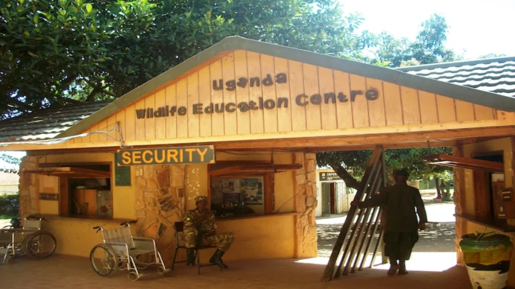Entrance to the Uganda Wildlife Education Centre in Uganda during the period of Sophia Koetsier’s 2015 trip.