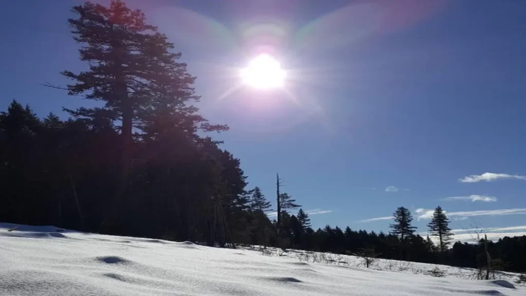 A snow-covered mountain slope at Sun Peaks Resort under a bright sun, capturing the challenging winter landscape.