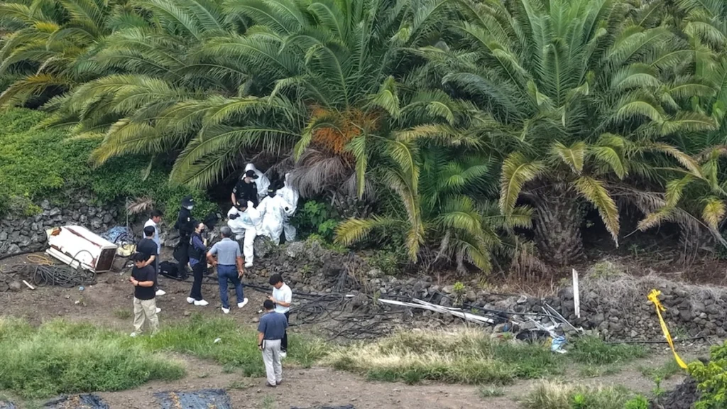 Investigators examining the palm-tree farm in Hallim-eup where Jang Mi-ran’s body was found.