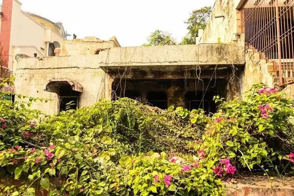 The present-day exterior of D-5, overgrown and almost concealed by vegetation. Image taken from The Times of India.