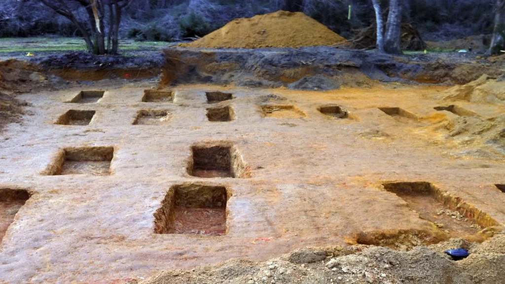 Researchers examining remains recovered from graves at the former Dozier School for Boys in Florida.