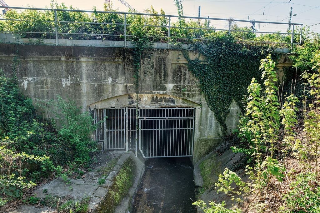 Liederbach tunnel beneath Frankfurt-Höchst station where Tristan Brübach’s body was found.