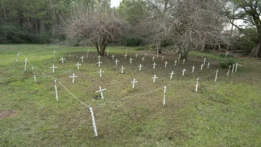White crosses marking graves at Boot Hill Cemetery at the former Dozier School for Boys.