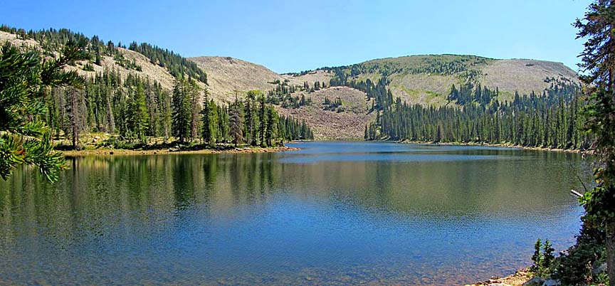 A tranquil mountain lake surrounded by dense pine forests and rolling hills under a clear blue sky, near the area where 12-year-old Garrett Bardsley disappeared in Utah.