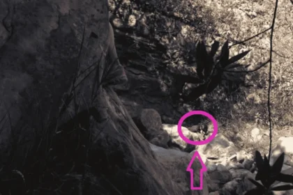 Saylor Guilliams is barely visible among rocks near Tangerine Falls, highlighted by a pink circle and arrow in a photo taken before hikers realized she was there.