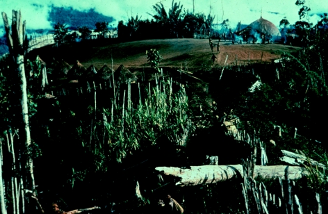 Archival photograph of traditional houses in a South Fore village in Papua New Guinea during the 1957 kuru epidemic.