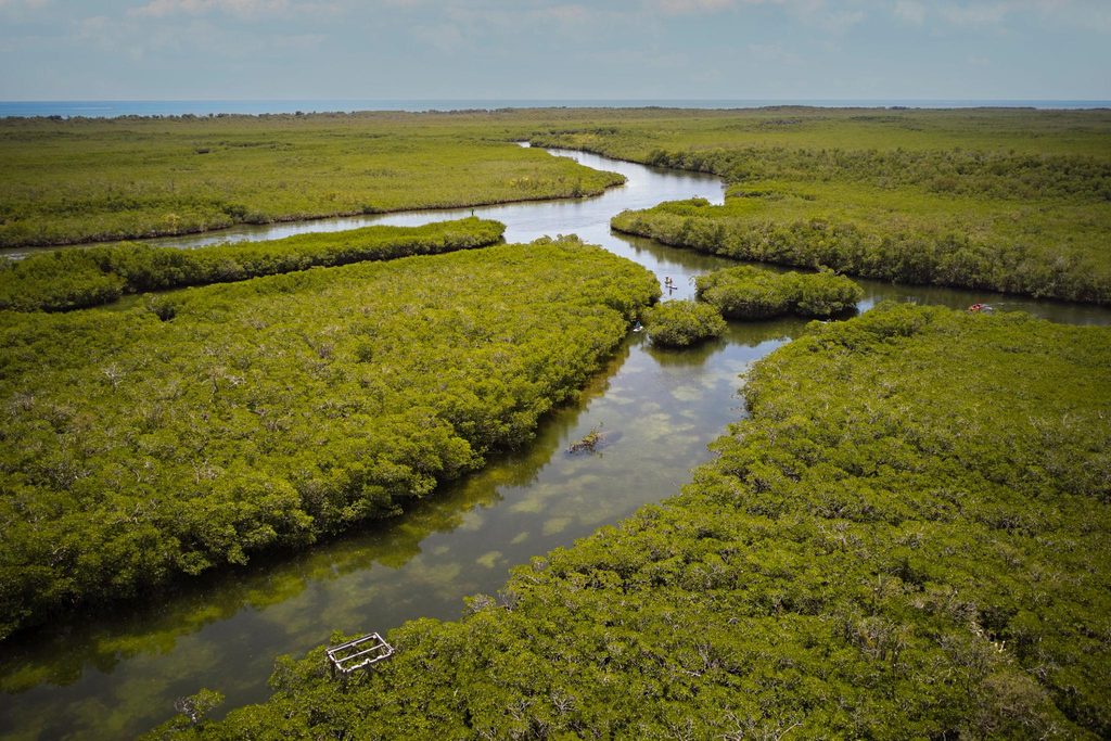 Coastal landscape of Key Largo, Florida, where missing mother Brenda Heist resurfaced in 2013.